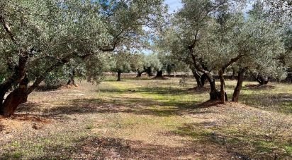 Farm land of 46,025 m² in Roquetes (43520)