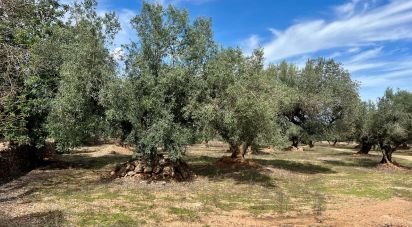 Farm land of 46,025 m² in Roquetes (43520)