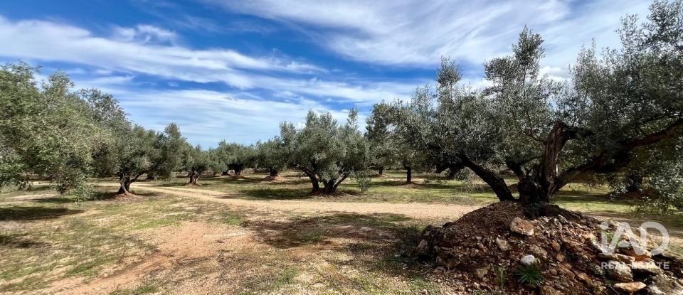 Terreno agricola de 46.025 m² en Roquetes (43520)