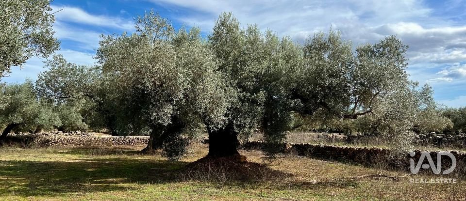 Terreno agricola de 46.025 m² en Roquetes (43520)
