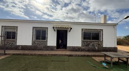 Farm land of 18,854 m² in Lepe (21440)