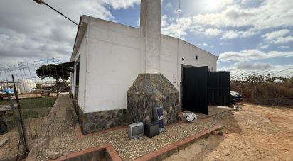 Farm land of 18,854 m² in Lepe (21440)