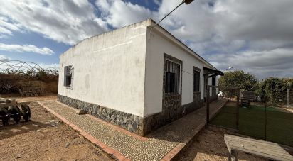 Farm land of 18,854 m² in Lepe (21440)