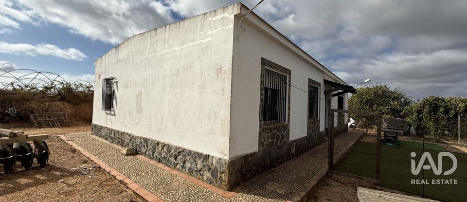 Terreno agricola de 18.854 m² en Lepe (21440)