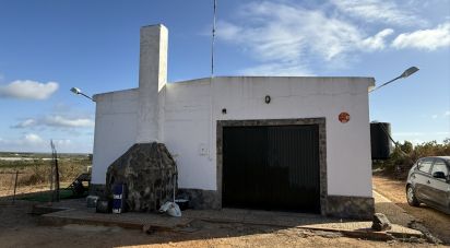 Farm land of 18,854 m² in Lepe (21440)