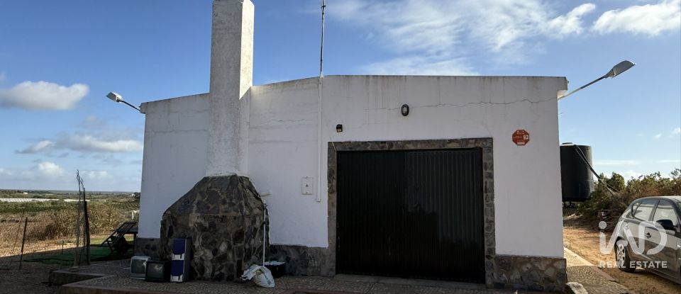 Terreno agricola de 18.854 m² en Lepe (21440)