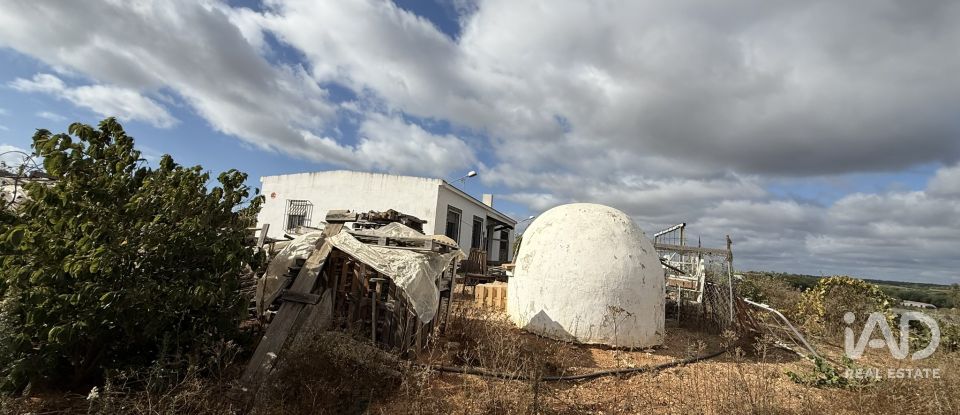 Terreno agricola de 18.854 m² en Lepe (21440)