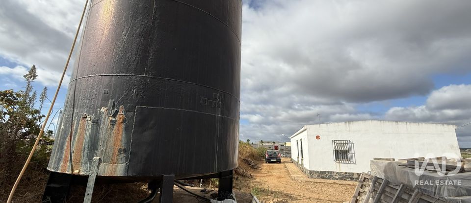 Terreno agricola de 18.854 m² en Lepe (21440)