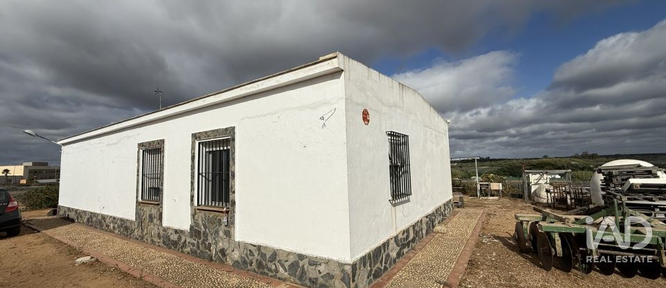 Terreno agricola de 18.854 m² en Lepe (21440)