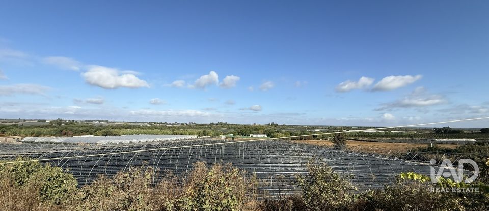 Terreno agricola de 18.854 m² en Lepe (21440)