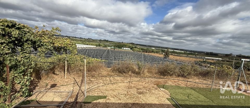 Terreno agricola de 18.854 m² en Lepe (21440)