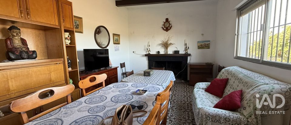 Terreno agricola de 18.854 m² en Lepe (21440)