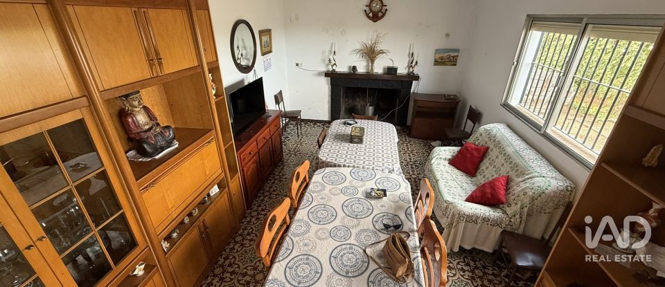 Terreno agricola de 18.854 m² en Lepe (21440)