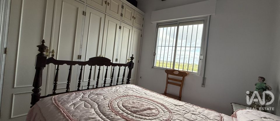 Terreno agricola de 18.854 m² en Lepe (21440)