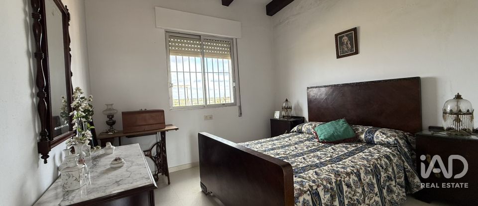 Terreno agricola de 18.854 m² en Lepe (21440)