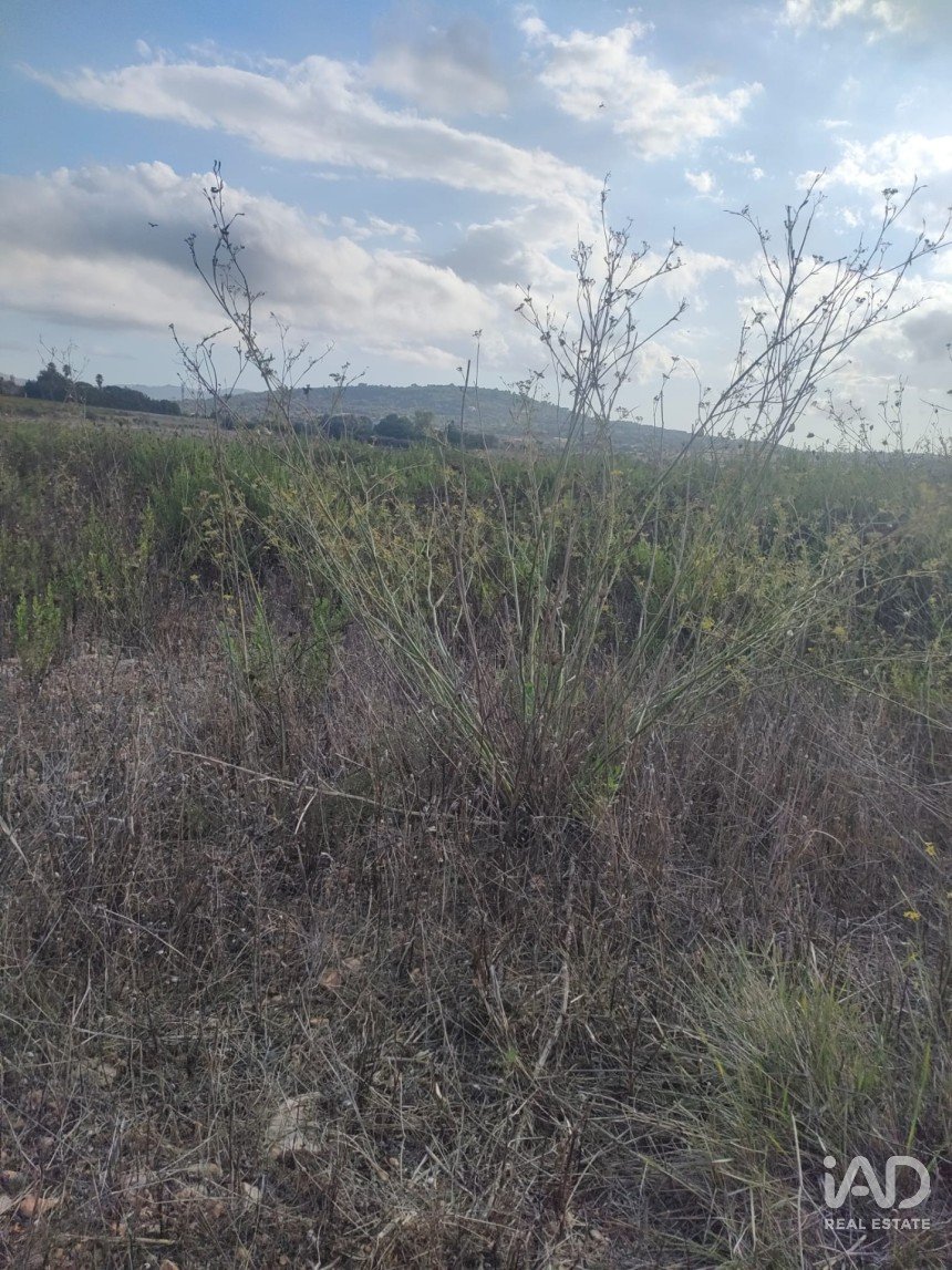 Terreno de 13 m² en Montuiri (07230)