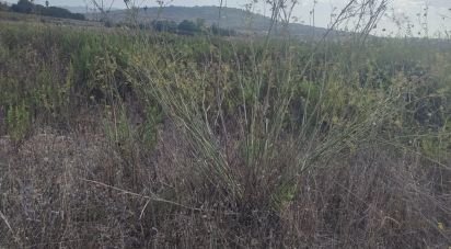 Land of 13 m² in Montuiri (07230)