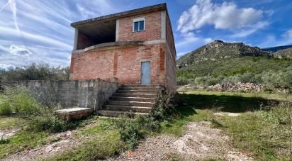 Farm land of 49,947 m² in Roquetes (43520)