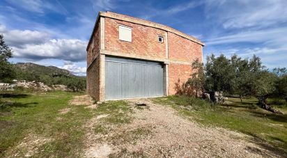 Farm land of 49,947 m² in Roquetes (43520)