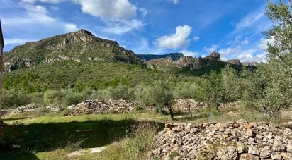 Farm land of 49,947 m² in Roquetes (43520)