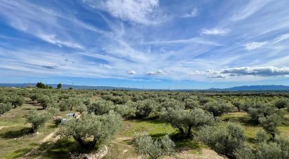 Farm land of 49,947 m² in Roquetes (43520)