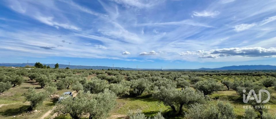 Terreny agrícola de 49.947 m² a Roquetes (43520)