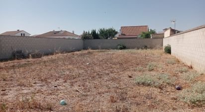 Building plot of 514 m² in Cañada Rosal (41439)