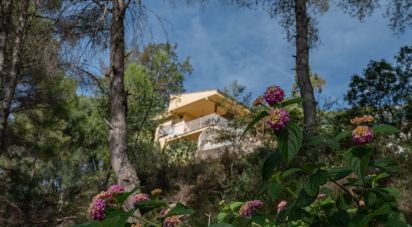 Apartment in house  5 bedrooms of 400 m² in Almazora/Almassora (12550)