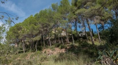 Apartment in house 5 bedrooms of 400 m² in Almazora/Almassora (12550)