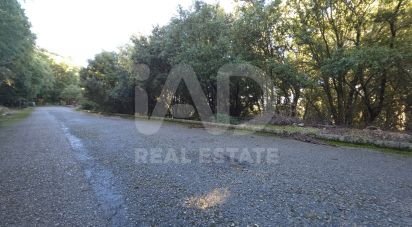 Land of 1,716 m² in Escorca (07315)