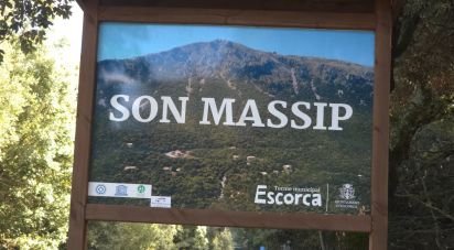 Land of 1,716 m² in Escorca (07315)
