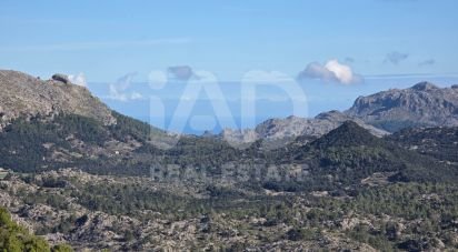 Land of 1,716 m² in Escorca (07315)