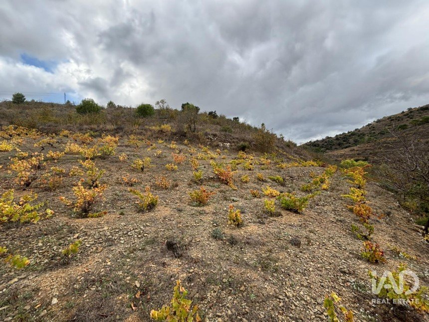 Terreno de 16.506 m² en Porrera (43739)