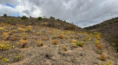 Terreno de 16.506 m² en Porrera (43739)