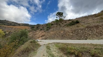 Land of 16,506 m² in Porrera (43739)