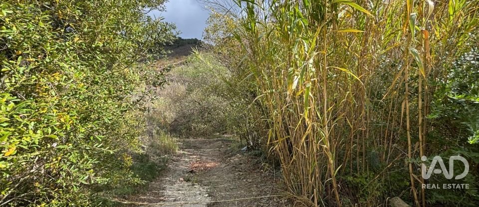 Terreno de 16.506 m² en Porrera (43739)