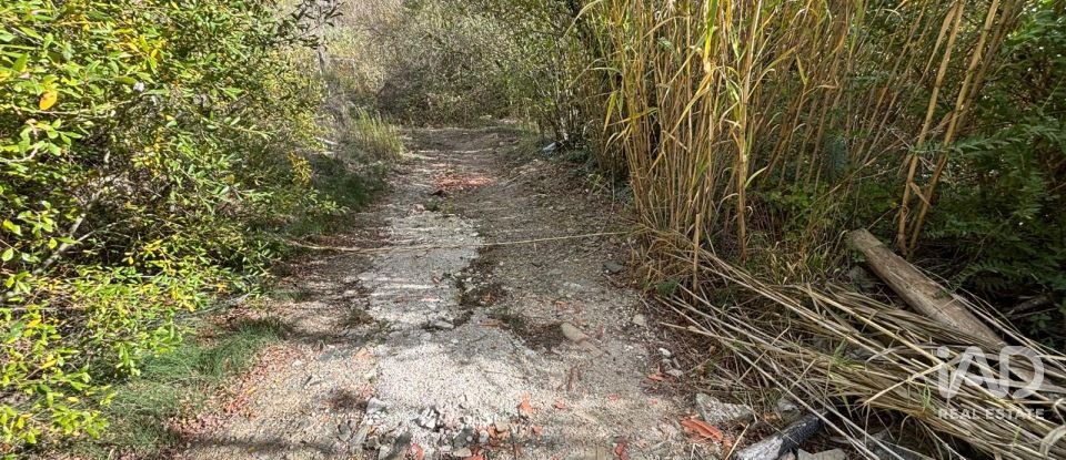 Terreno de 16.506 m² en Porrera (43739)