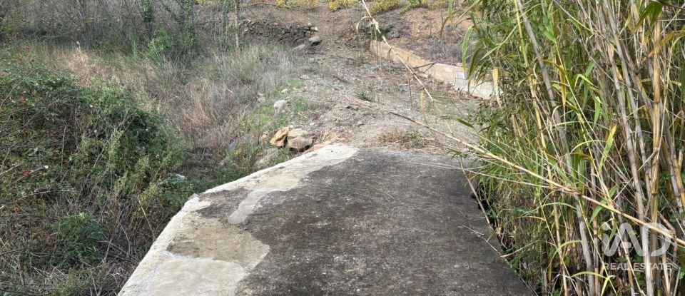 Terreno de 16.506 m² en Porrera (43739)