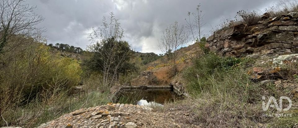 Terreno de 16.506 m² en Porrera (43739)