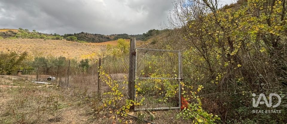 Terreno de 16.506 m² en Porrera (43739)