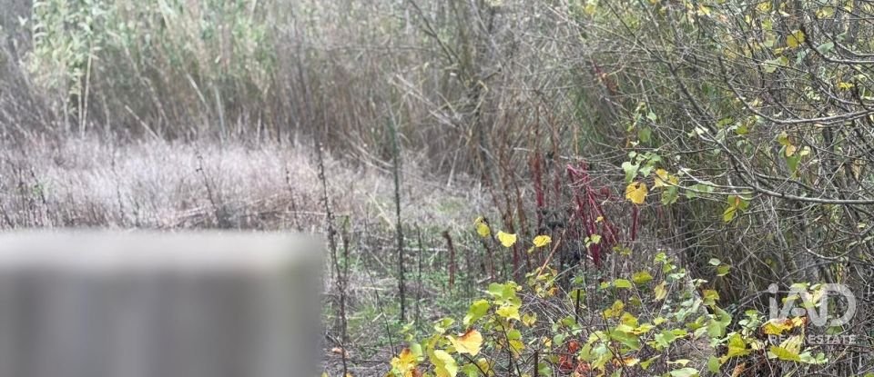 Terreno de 16.506 m² en Porrera (43739)