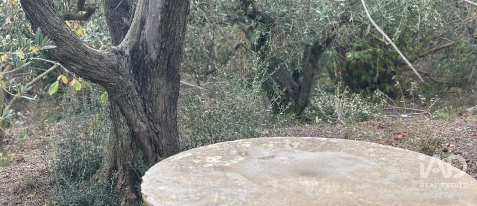 Terreno de 16.506 m² en Porrera (43739)