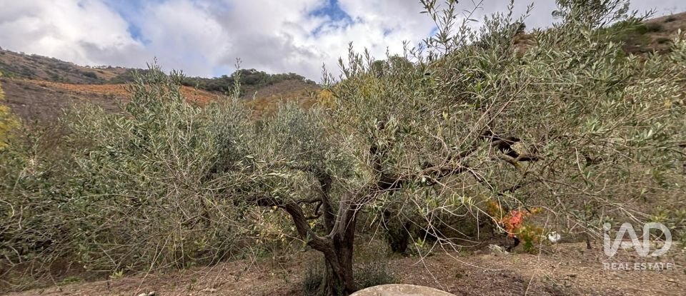 Terreno de 16.506 m² en Porrera (43739)