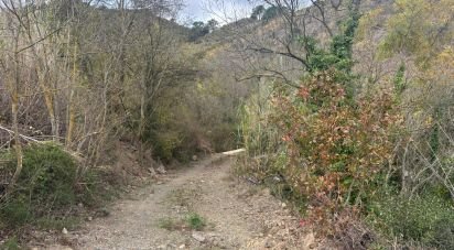 Land of 16,506 m² in Porrera (43739)