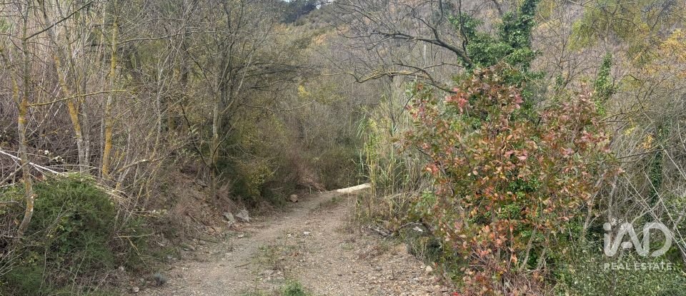 Terreno de 16.506 m² en Porrera (43739)