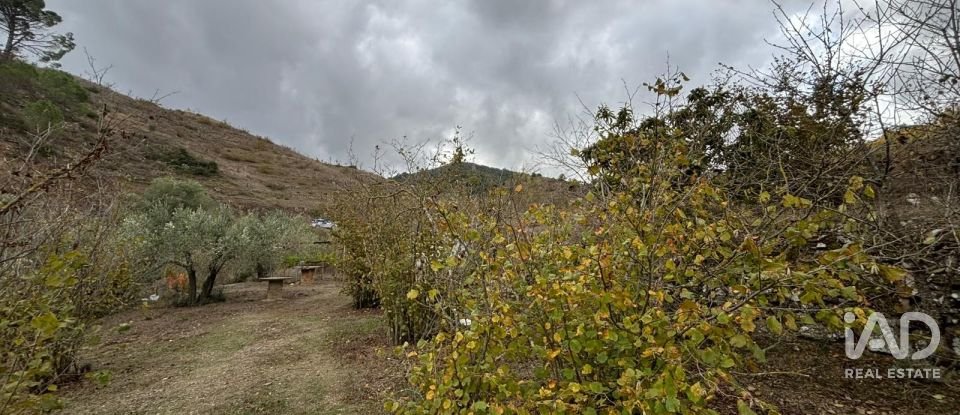 Terreno de 16.506 m² en Porrera (43739)