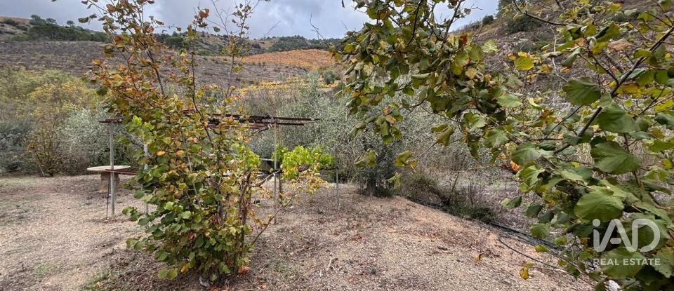 Terreno de 16.506 m² en Porrera (43739)