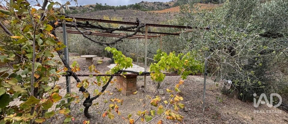 Terreno de 16.506 m² en Porrera (43739)