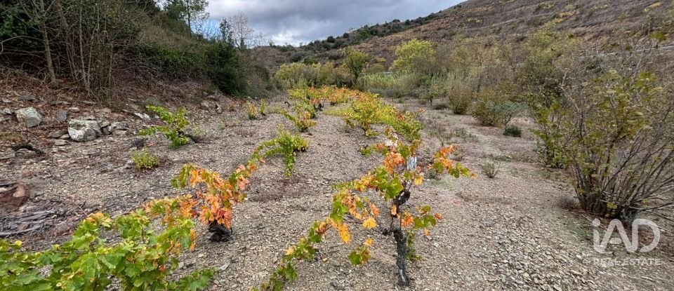 Terreno de 16.506 m² en Porrera (43739)