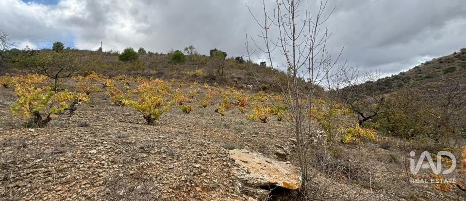 Terreno de 16.506 m² en Porrera (43739)